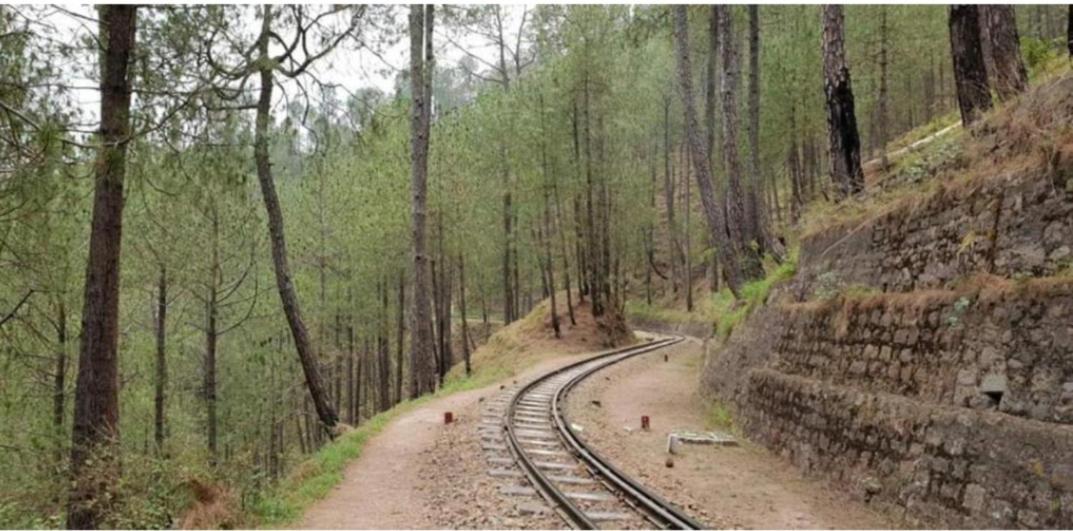 The Kasauli Western Uphills I Serviced Apartments I Pvt Balcony I Peacefull Area I By Exotic Stays Exterior foto